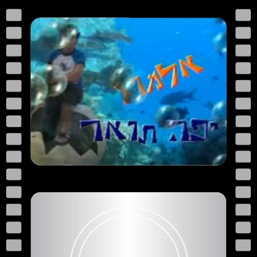 קליפ בר מצווה-אלמוג בן 13