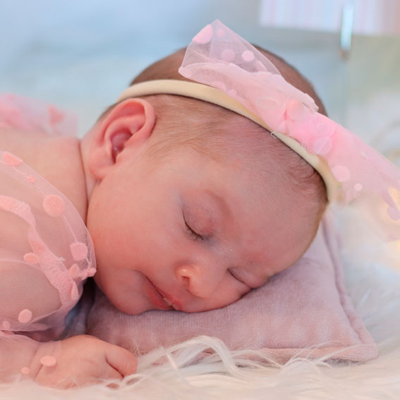 צילומי סטודיו - כוח פיגי